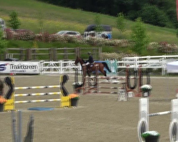 Reitturnier St. Margarethen 2025