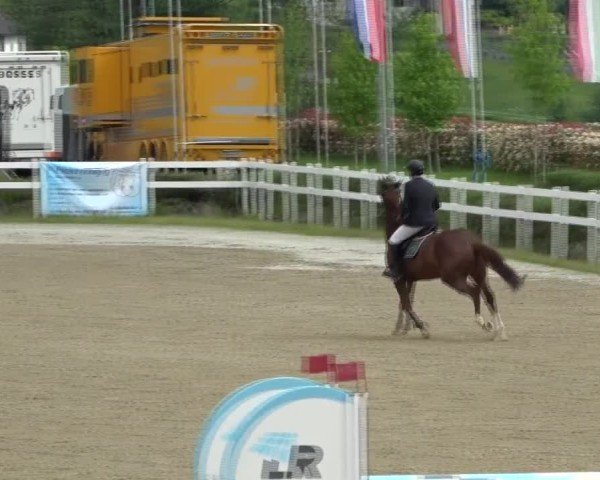 Reitturnier St. Margarethen 2025