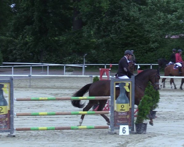 Reitturnier Ostenfelde-Vornholz 2025