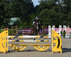 jumper Chaplin 131 (Hanoverian, 2017, from Carridam)
