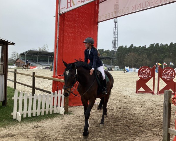 jumper Can-Can 9 (Hanoverian, 2018, from Carridam)
