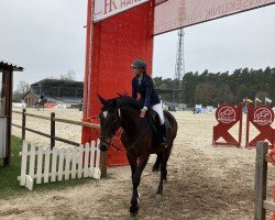 jumper Can-Can 9 (Hanoverian, 2018, from Carridam)
