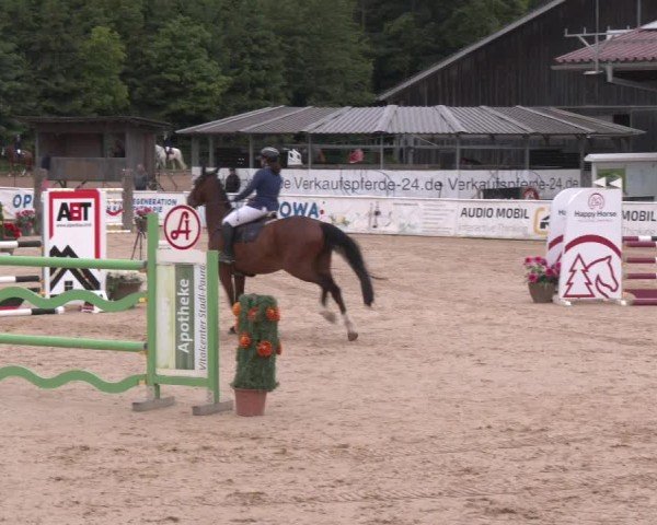 Reitturnier Ranshofen - Braunau am Inn 2025