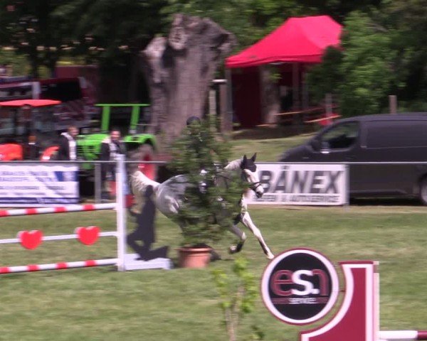 Reitturnier Königsborn 2025