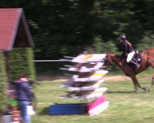 Reitturnier Königsborn 2025