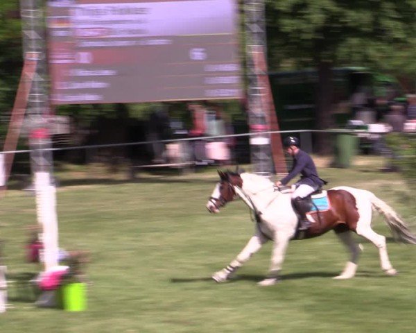 Reitturnier Königsborn 2025