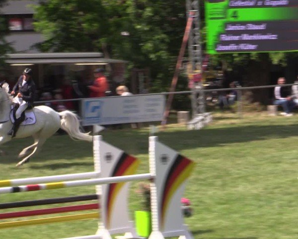 Reitturnier Königsborn 2025