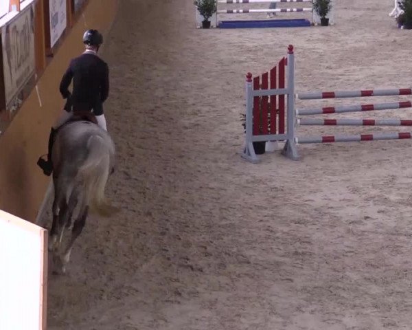 Hallenspringturnier Xanten - Reitanlage Miß 2014
