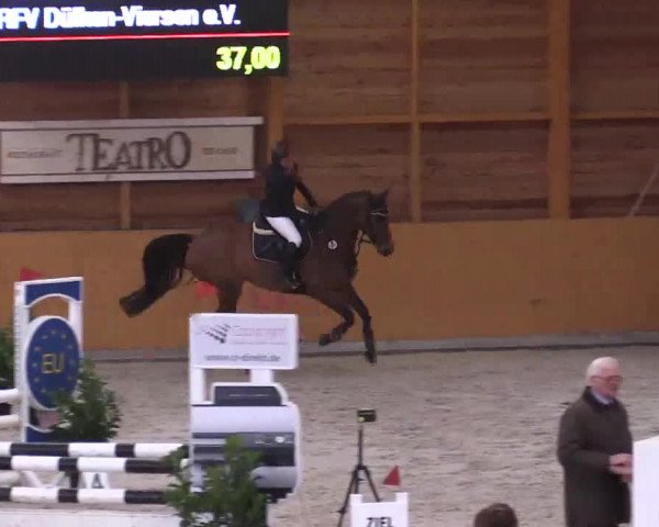 Hallenspringturnier Xanten - Reitanlage Miß 2014