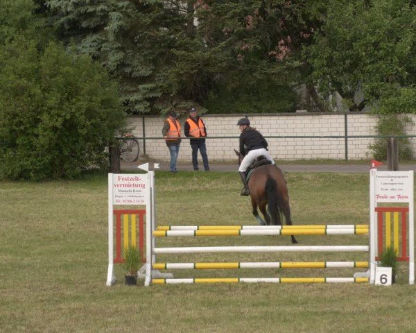 Reitturnier Buckow bei Beeskow (LOS) 2025