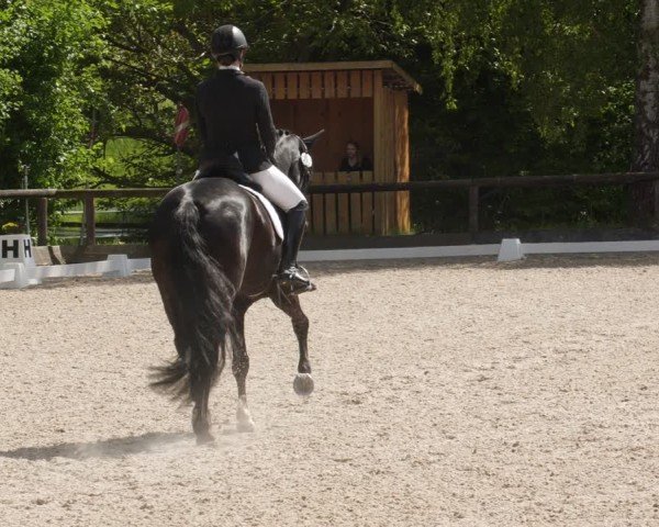 Reitturnier Leonberg 2025