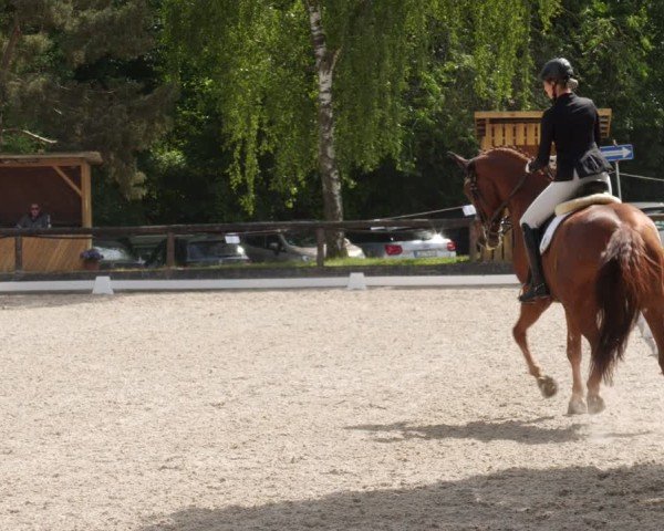 Reitturnier Leonberg 2025