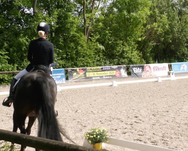 Reitturnier Leonberg 2025