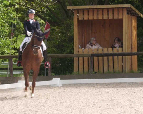 Reitturnier Leonberg 2025