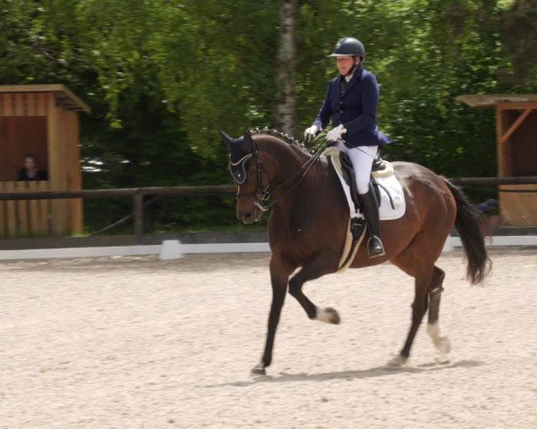 Reitturnier Leonberg 2025