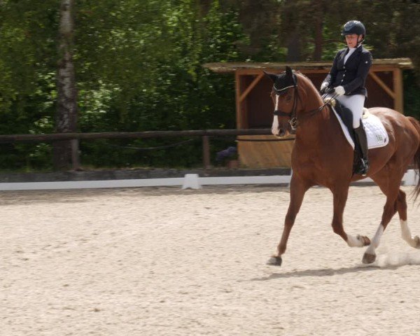 Reitturnier Leonberg 2025