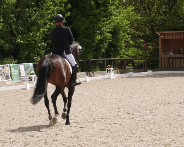 Reitturnier Leonberg 2025
