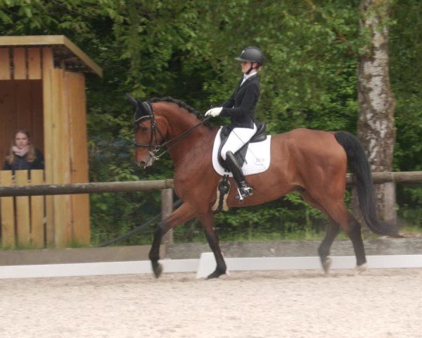 Reitturnier Leonberg 2025