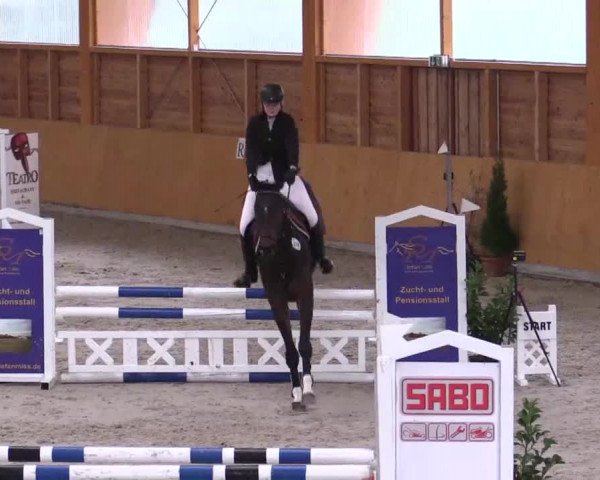Hallenspringturnier Xanten - Reitanlage Miß 2014
