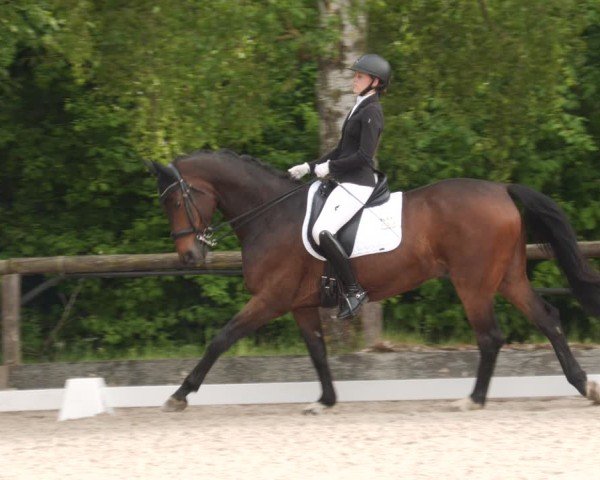 Reitturnier Leonberg 2025