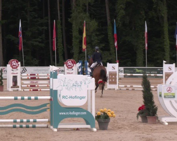 Reitturnier Ranshofen - Braunau am Inn 2025