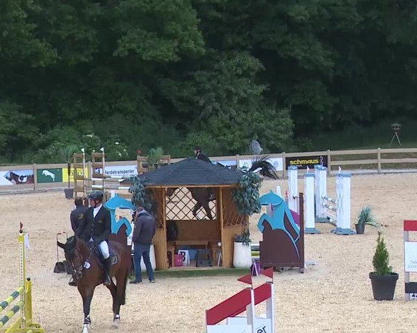 Reitturnier Tiefenhof/Opf. 2025