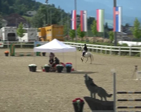 Reitturnier St. Margarethen 2025