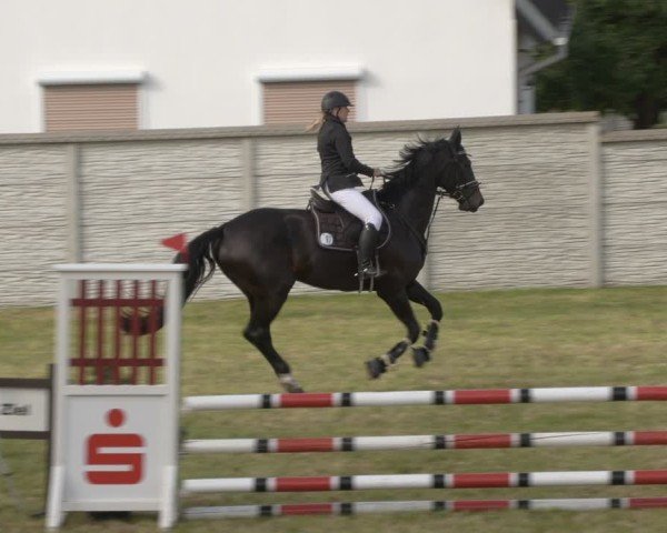 Reitturnier Buckow bei Beeskow (LOS) 2025