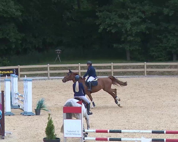 Reitturnier Tiefenhof/Opf. 2025