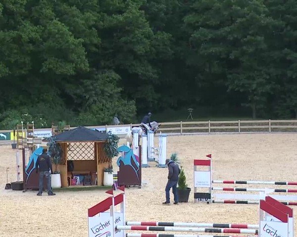 Reitturnier Tiefenhof/Opf. 2025
