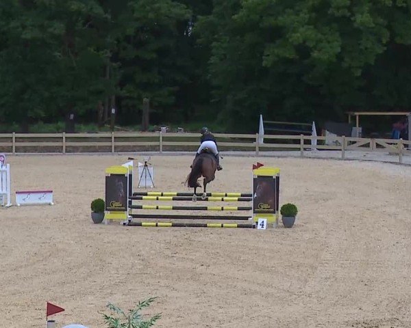 Reitturnier Tiefenhof/Opf. 2025