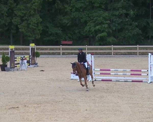 Reitturnier Tiefenhof/Opf. 2025
