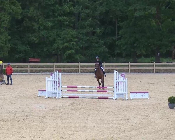 Reitturnier Tiefenhof/Opf. 2025