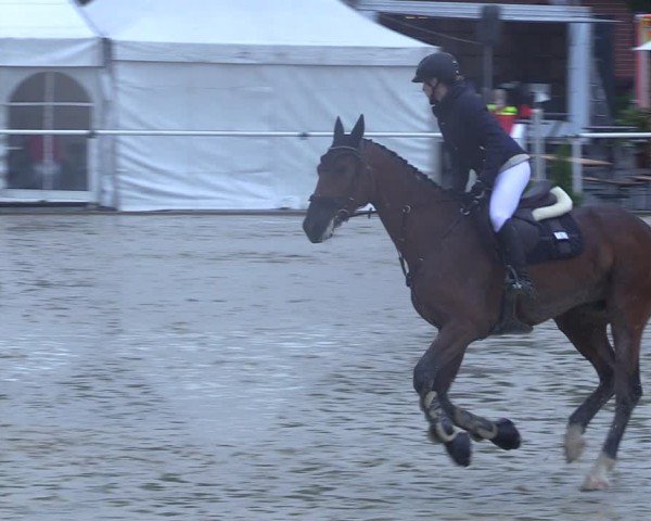 Reitturnier Ostenfelde-Vornholz 2025