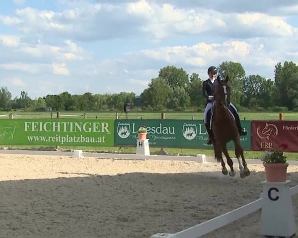 Reitturnier Notzing/Obb. 2025