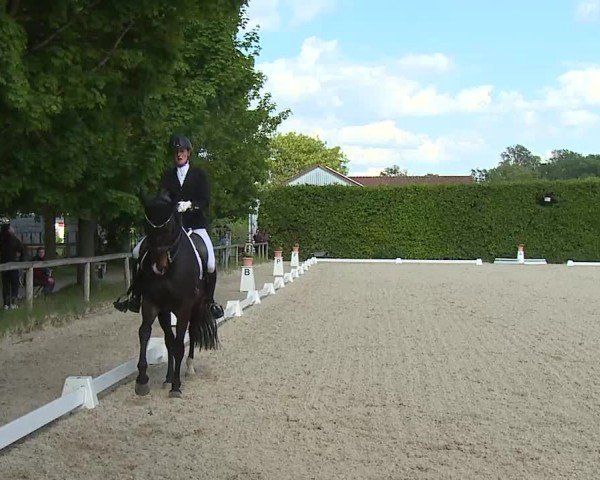 Reitturnier Notzing/Obb. 2025