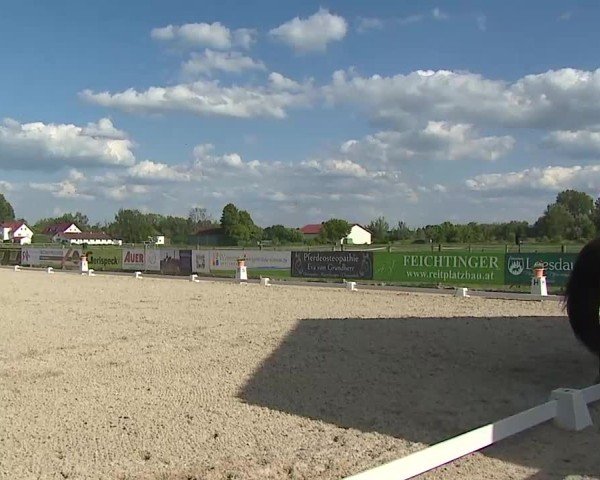 Reitturnier Notzing/Obb. 2025