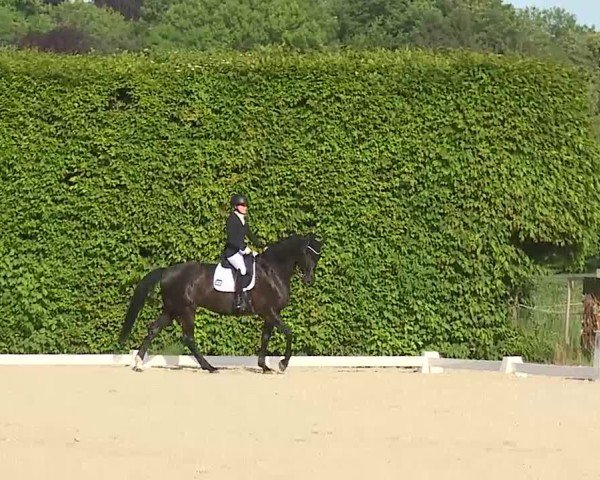 Reitturnier Notzing/Obb. 2025