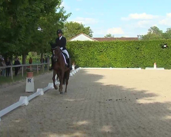 Reitturnier Notzing/Obb. 2025