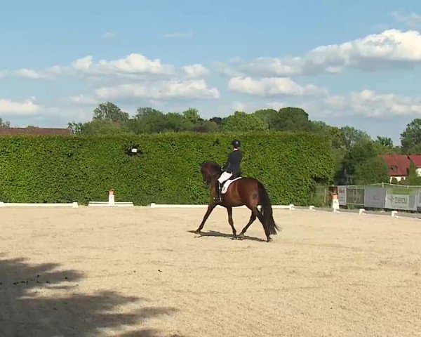 Reitturnier Notzing/Obb. 2025