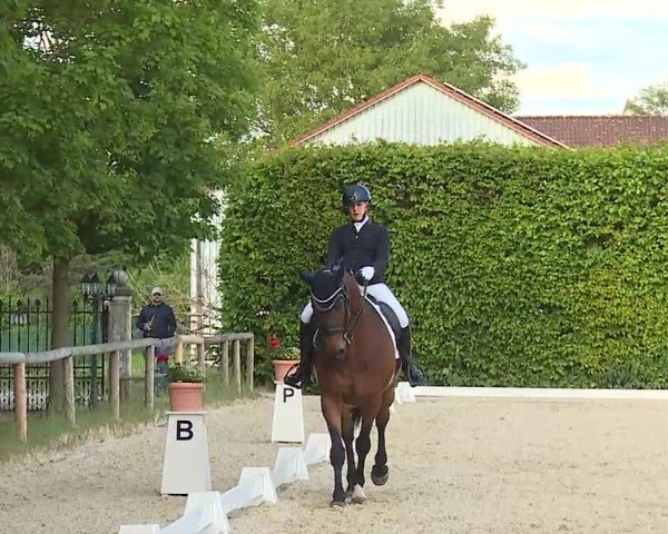 Reitturnier Notzing/Obb. 2025