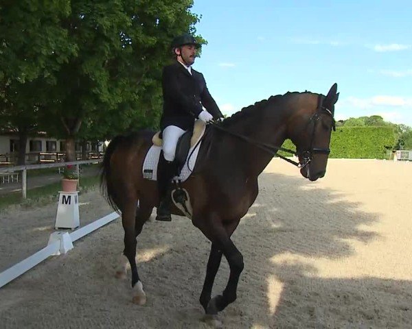 Reitturnier Notzing/Obb. 2025