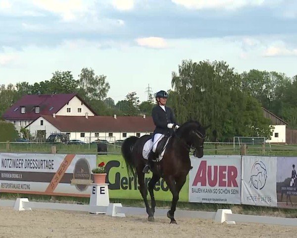 Reitturnier Notzing/Obb. 2025