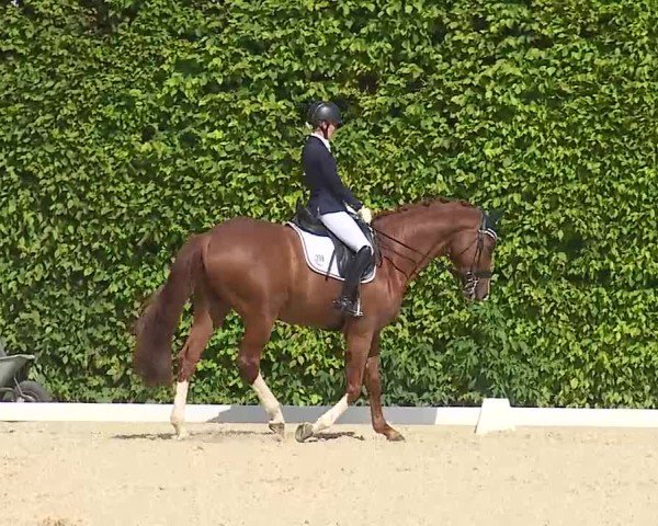 Reitturnier Notzing/Obb. 2025