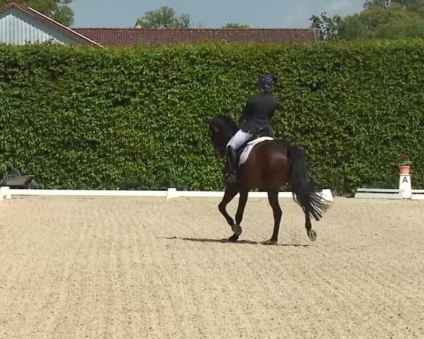Reitturnier Notzing/Obb. 2025