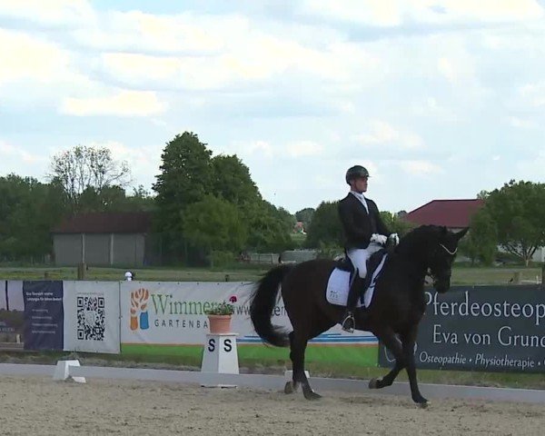 Reitturnier Notzing/Obb. 2025