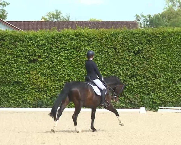 Reitturnier Notzing/Obb. 2025