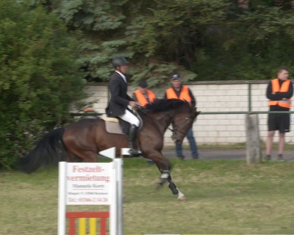Reitturnier Buckow bei Beeskow (LOS) 2025