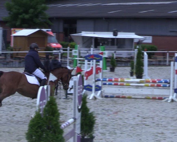 Reitturnier Ostenfelde-Vornholz 2025