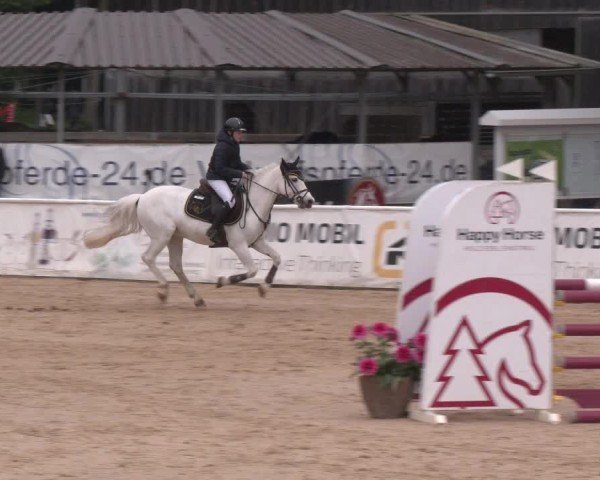 Reitturnier Ranshofen - Braunau am Inn 2025